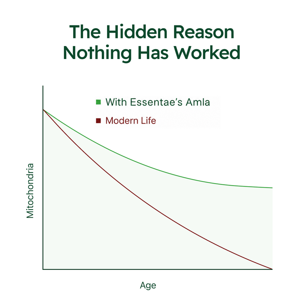 Essentae - Amla Superfruit Capsules