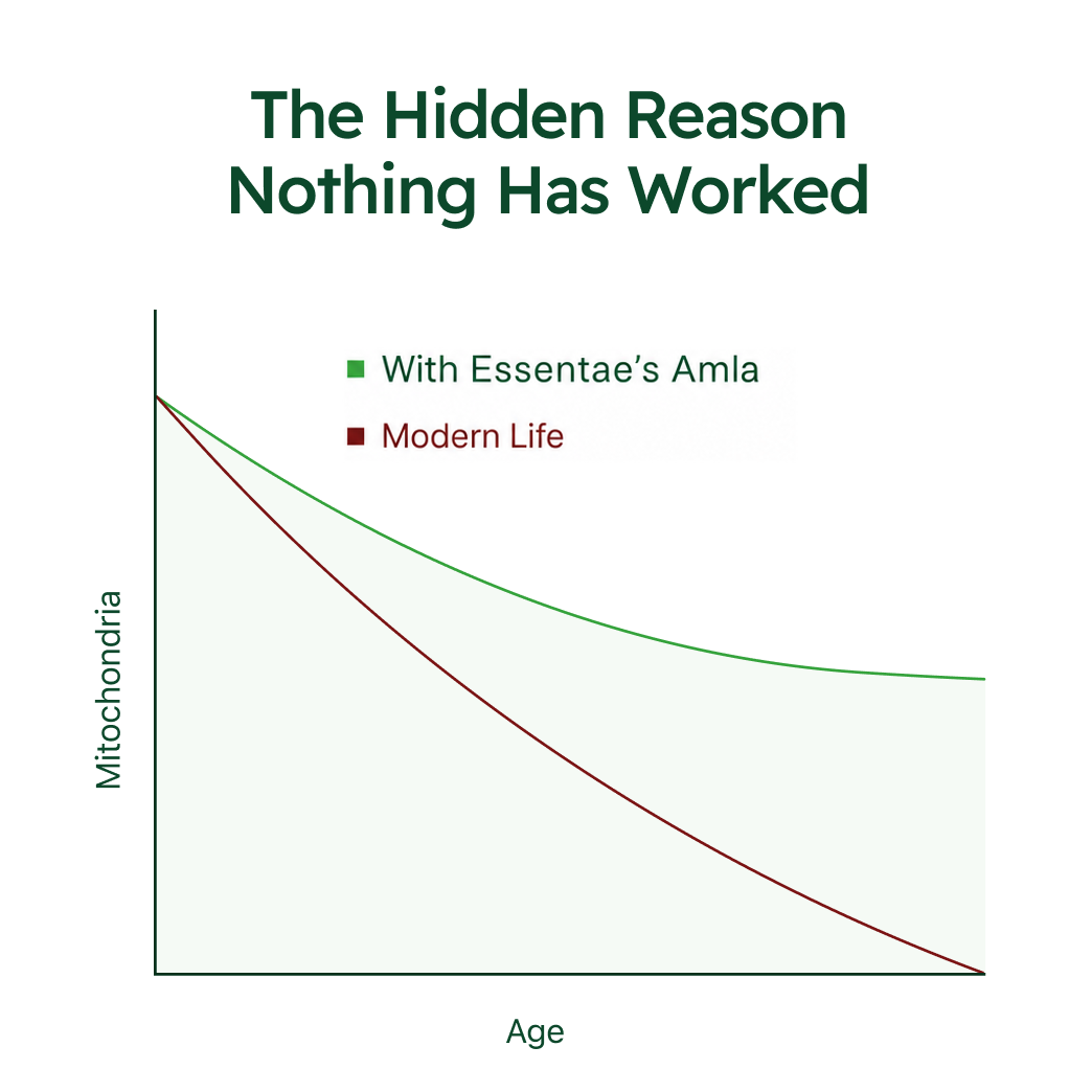Essentae - Amla Superfruit Capsules