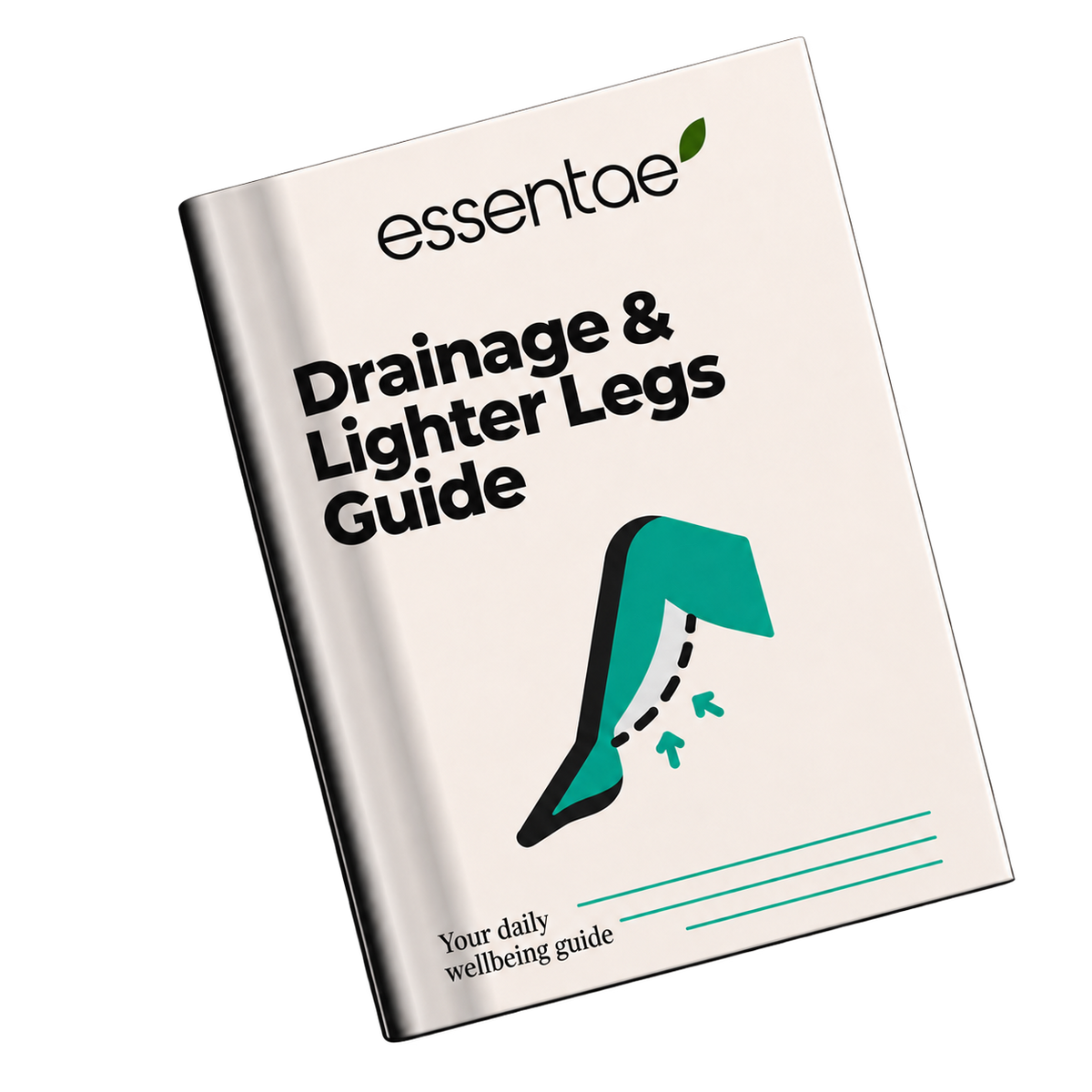 Drainage Guide Ebook